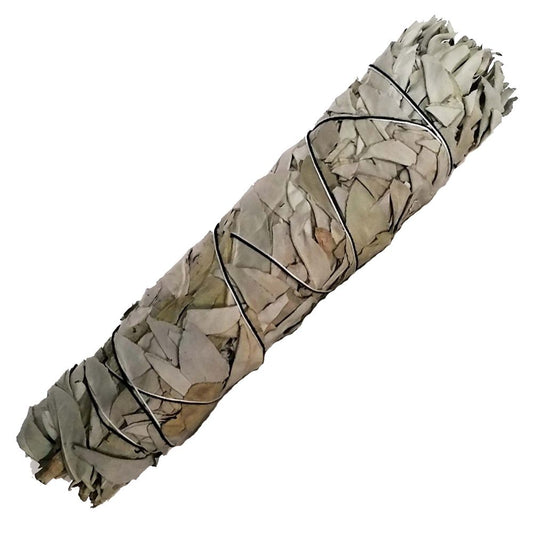 Californian White Sage Smudge Stick 8"
